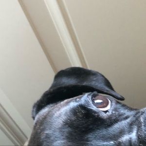 Meet your Posher, Jailyn